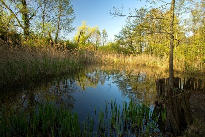 Jaujac - Mare aux libellules ©S.BUGNON Jaujac - Mare aux libellules ©S.BUGNON