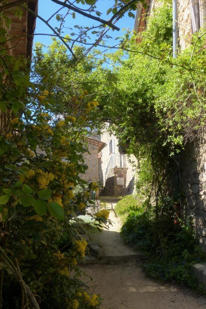 La calade pour accéder au gîte