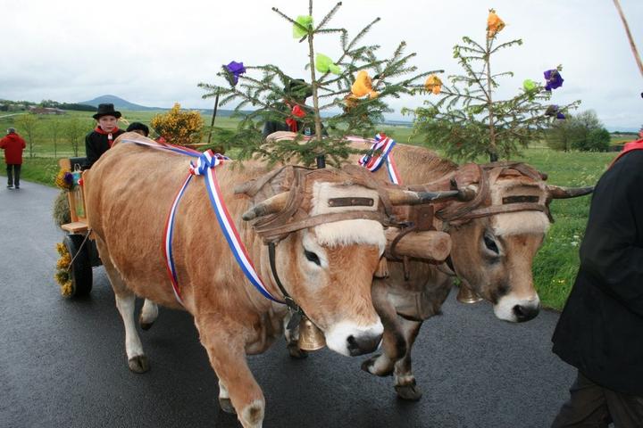 Fin Gras du Mézenc Fin Gras du Mézenc