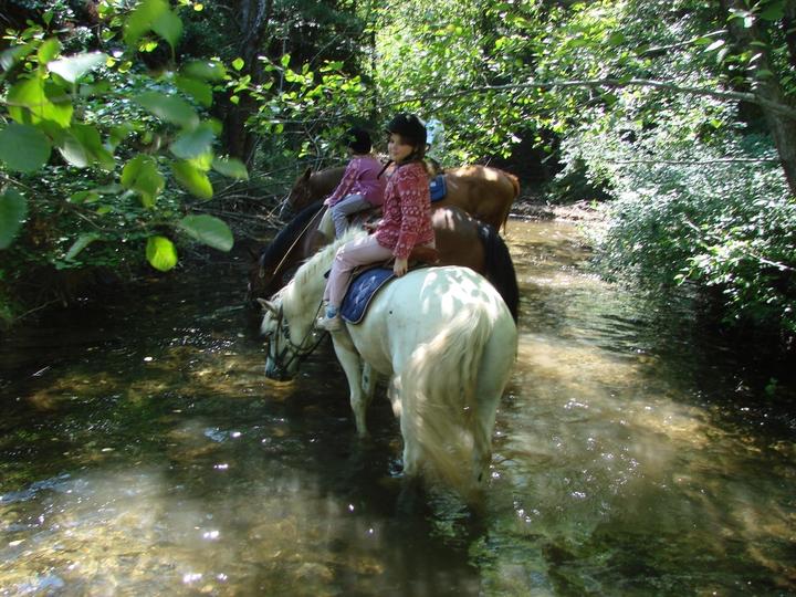 la belle errance faugères ardèche centre équestre la belle errance faugères ardèche