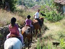 centre equestre belle errance