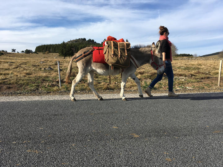 visite de ferme visite de ferme
