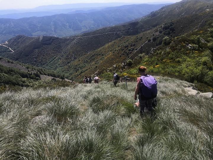 La Souche - Haut du Mont Aigu©M.Barkats La Souche - Haut du Mont Aigu©M.Barkats