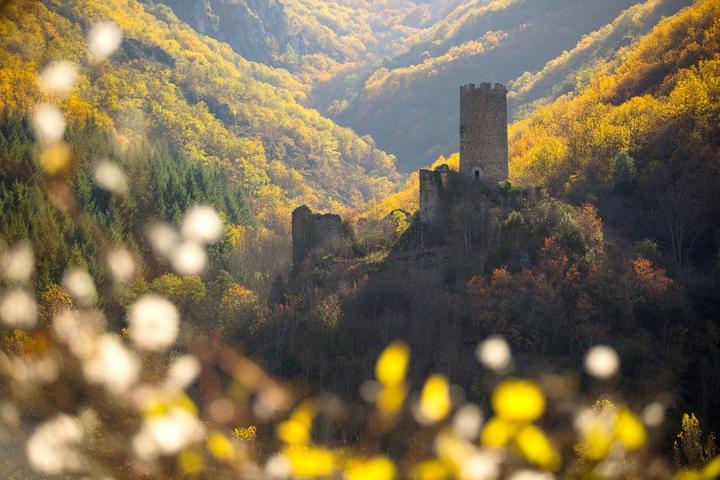 Barnas - Château de Chadenac ©S.BUGNON Barnas - Château de Chadenac ©S.BUGNON