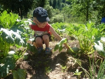 Atelier nature Atelier nature