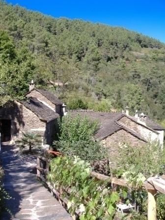 robardet domaine de l'olanier