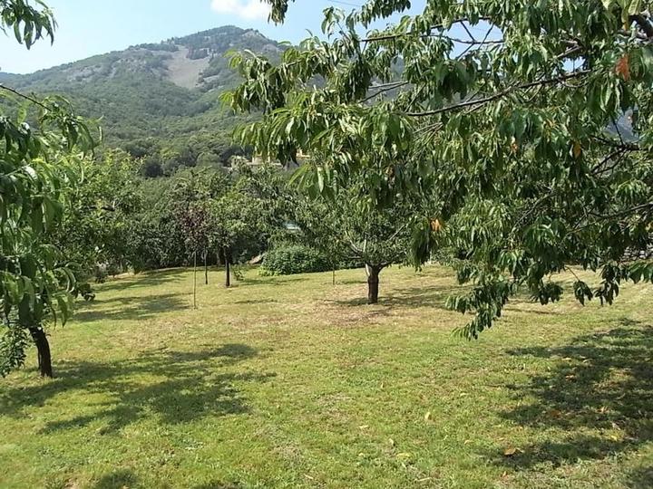 verger accessiible à tous