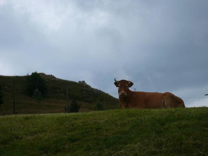 L'Ardèche c'est vachement sympa
