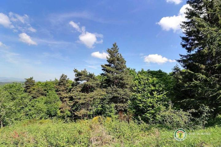 Le paysage vue du gîte