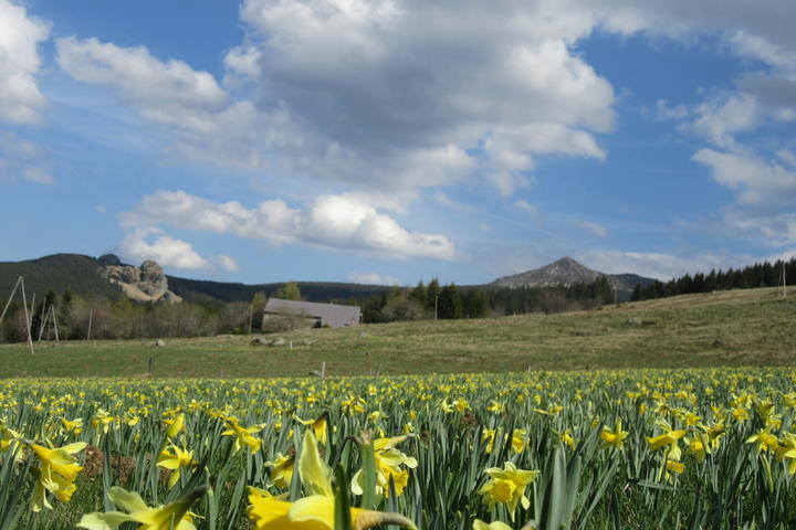 Les bastides du Mézenc Les bastides du Mézenc