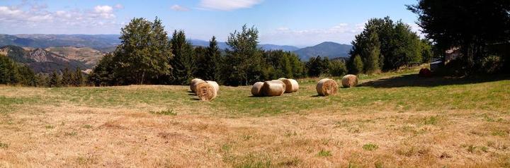 Vue des prés attenants en début d'été.