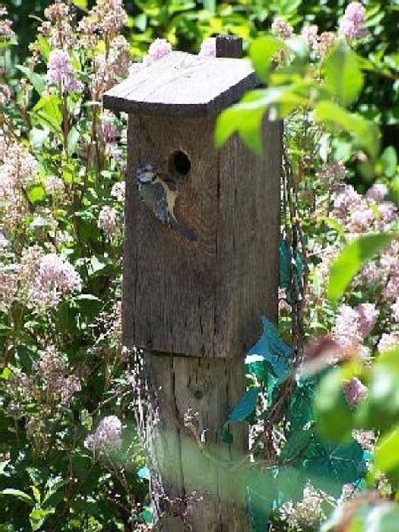 Gîte Carpe Diem à Blaunac (Joannas, Ardèche) Gîte Carpe Diem à Blaunac (Joannas, Ardèche)