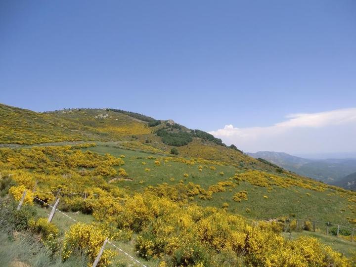 l'environnement de Loubaresse