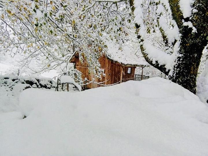 Cabane du plateau Cabane du plateau