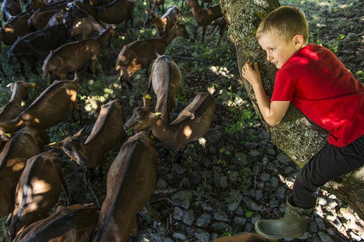 Ferme de la Louvèche Ferme de la Louvèche