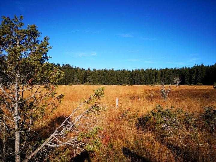Burzet - paysage de la tourbière de la verrerie à l'automne©o.mathis Burzet - paysage de la tourbière de la verrerie à l'automne©o.mathis