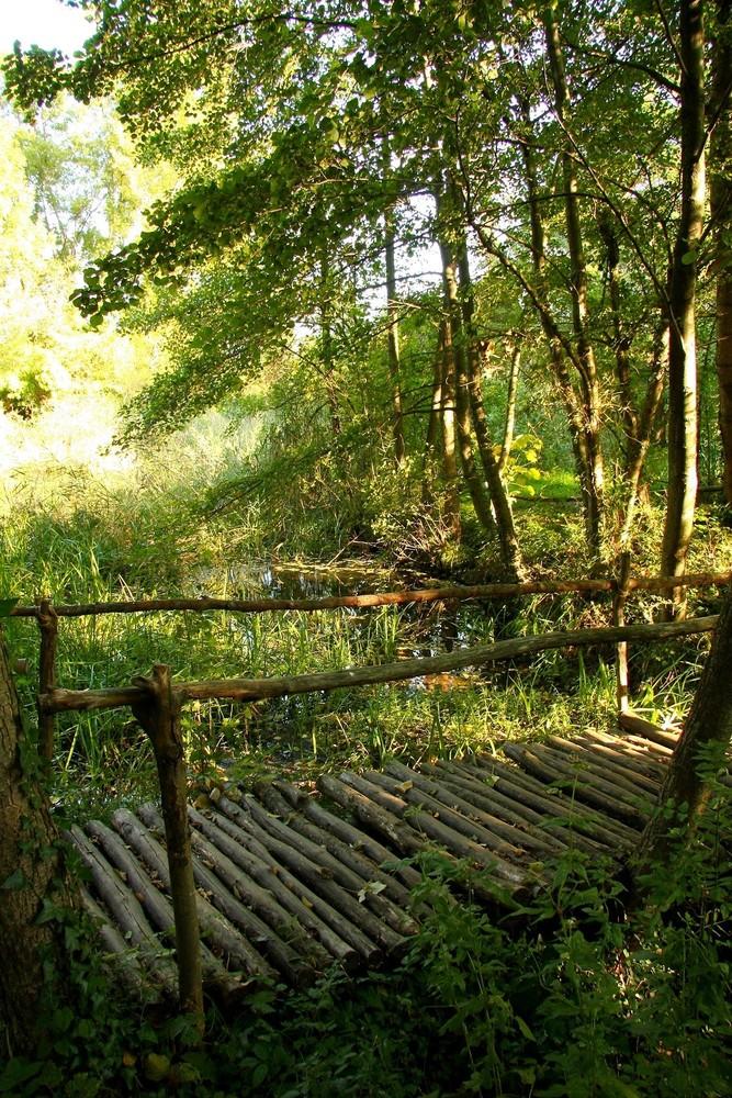 Jaujac - Mare aux libellules ©OTASV Jaujac - Mare aux libellules ©OTASV