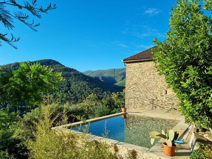 La piscine et la terrasse, vues du jardin.