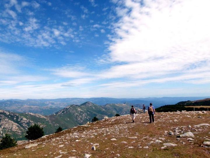Sur les crêtes du Tanargue