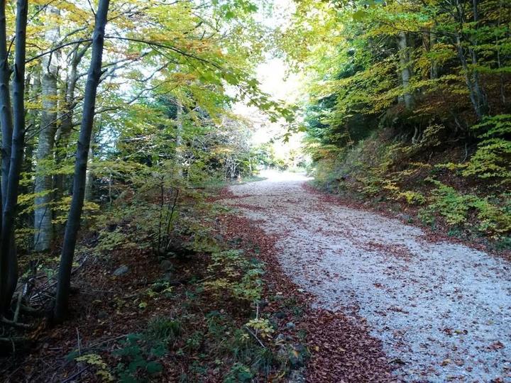 Toujours des sentiers et des randonnées.