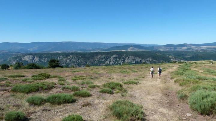 Crètes de Montselgue