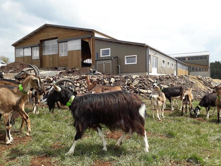 Bâtiment des chèvres