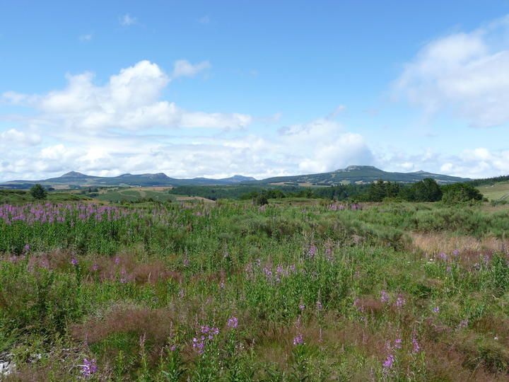Vue sur les sucs