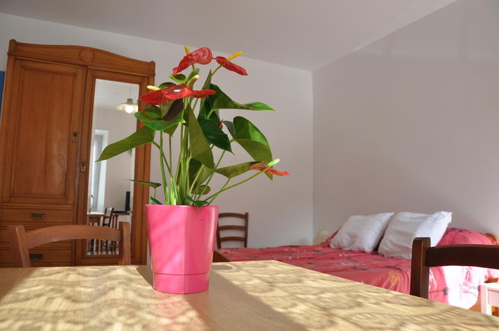 Appartement Mairie 3