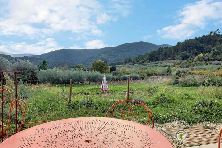 Vue sur le paysage depuis le gîte !