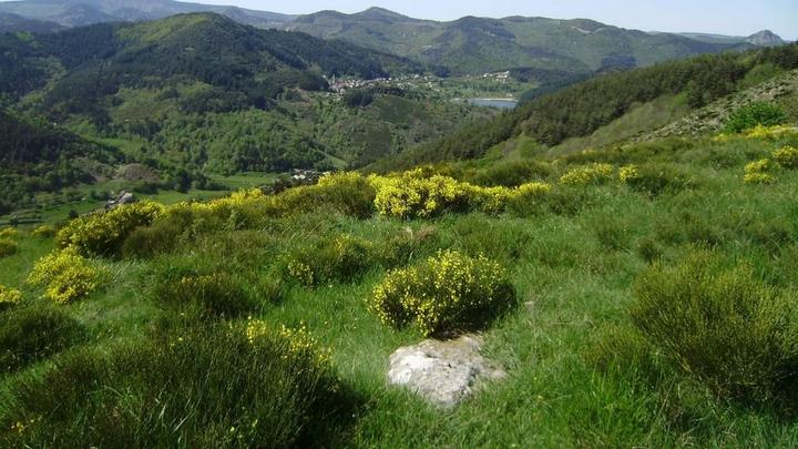 lac de Saint Martial