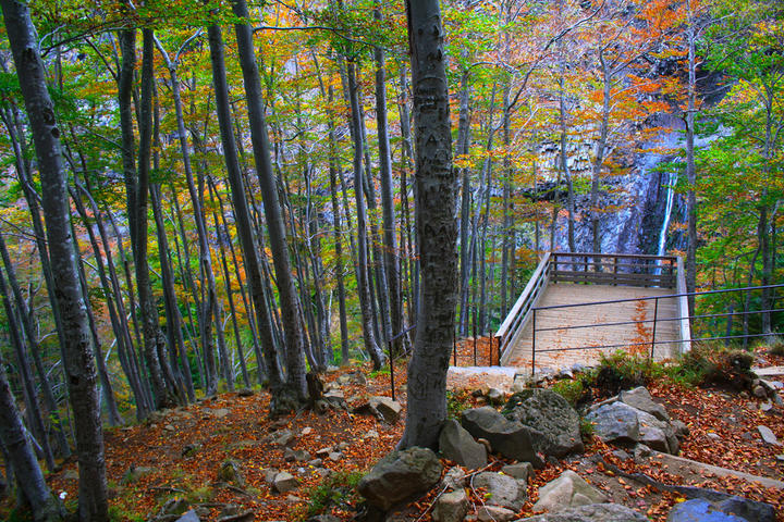 20190926-Péreyres- Sortie Ray Pic ©Maëva Lopez (47) 20190926-Péreyres- Sortie Ray Pic ©Maëva Lopez (47)