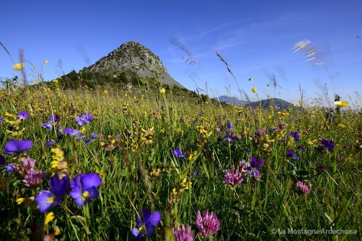Mont Gerbier de Jonc, le 20 juin 2014.