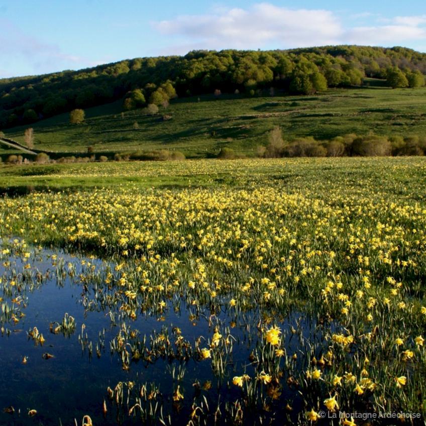 SONY DSC                      SONY DSC