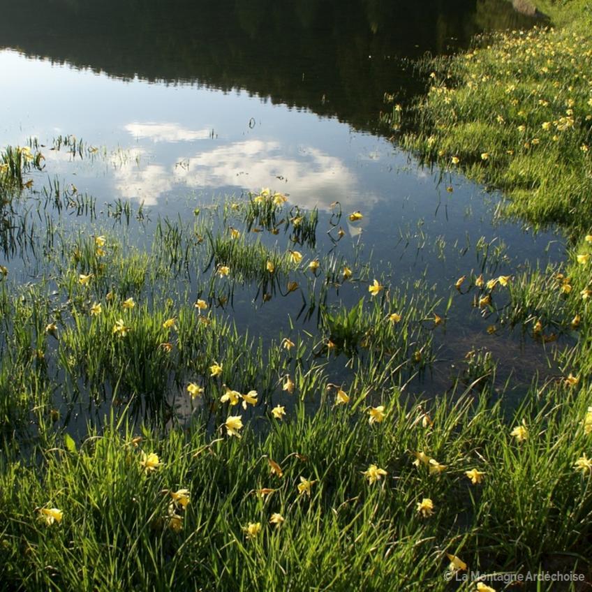 SONY DSC                      SONY DSC